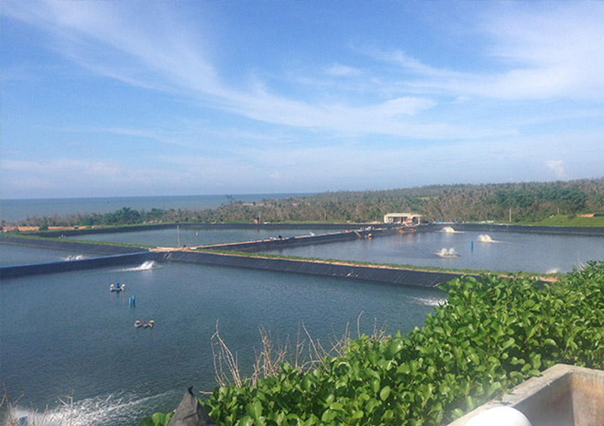 1678091023165827.jpg sw1.jpg