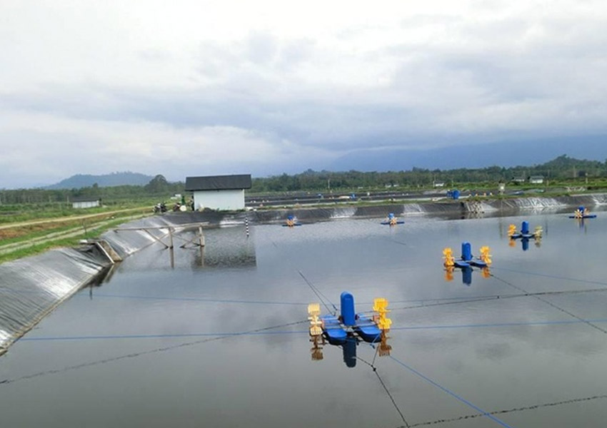 1678091036117368.jpg sw2.jpg