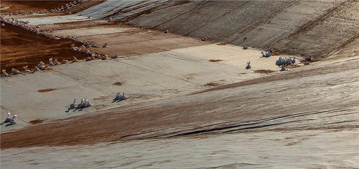 1678241125209548.jpg 1678241125209548.jpg